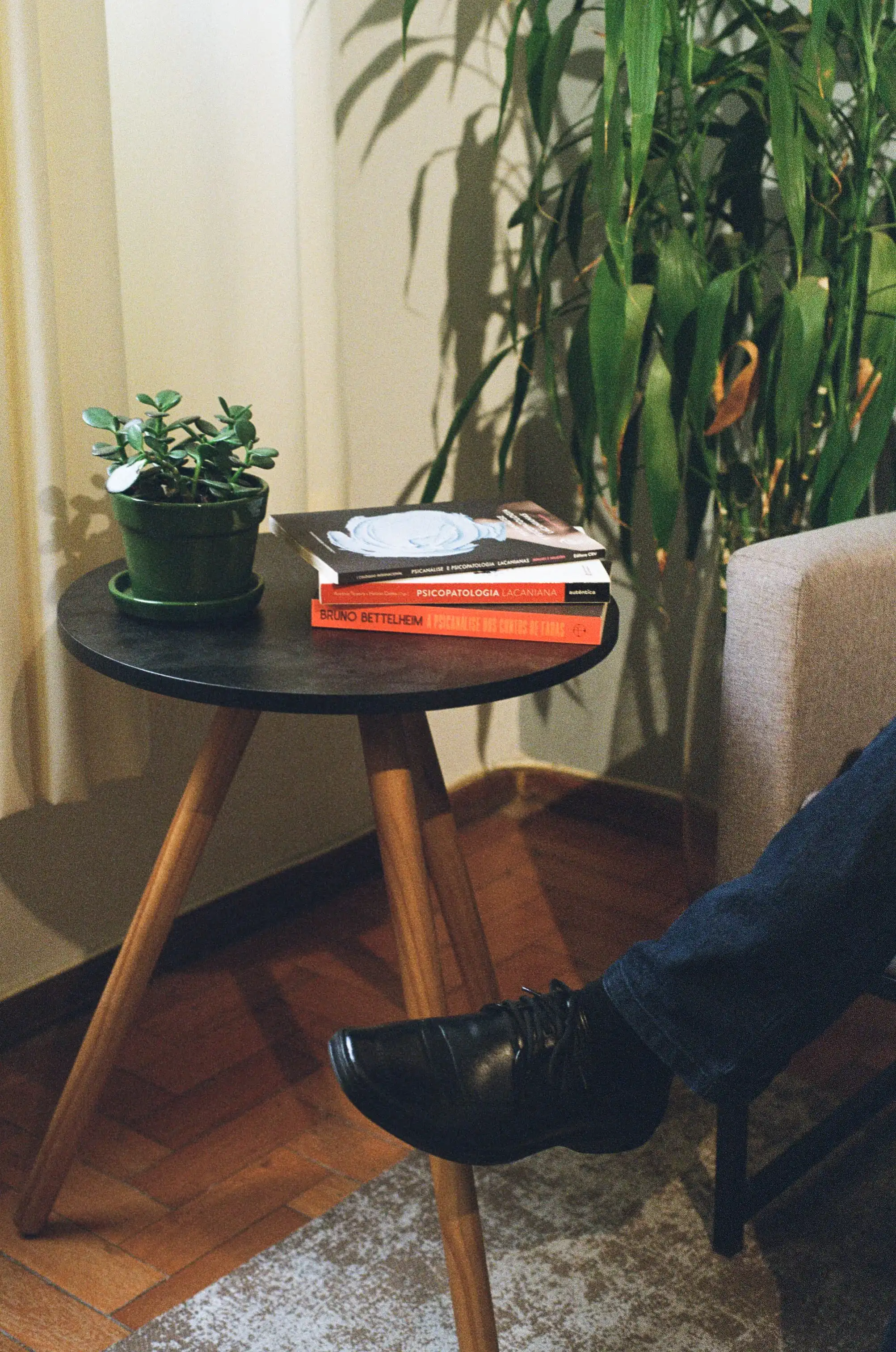 Consultório de psicologia em Belo Horizonte - Ambiente acolhedor e profissional para terapia